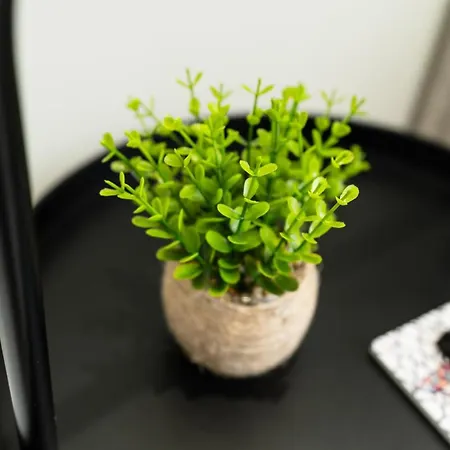 Bed and Breakfast Pane E Pomodoro 3*