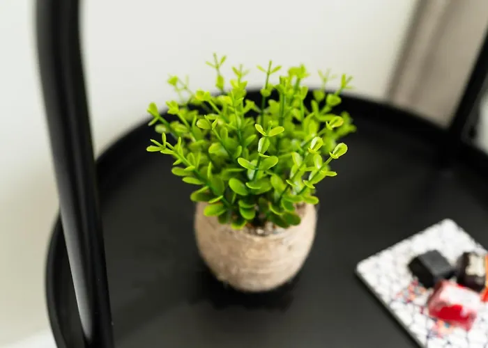 Couette-café Pane E Pomodoro 3*